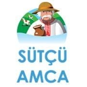 14-SÜTÇÜ AMCA