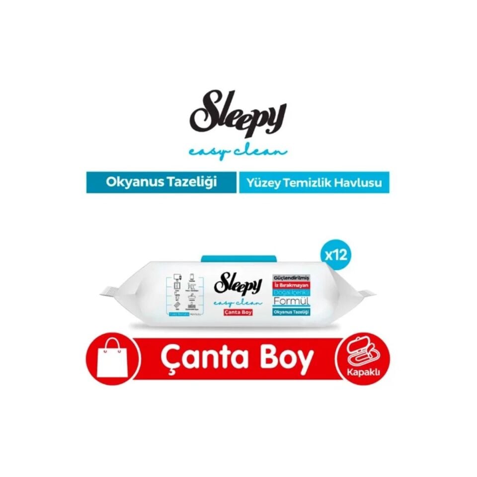 SLEEPY YÜZEY TEMİZ.HAV.OKYANUS FER.100 LÜ*12